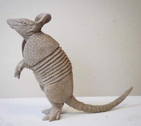 Armadillo Drawing Illustration, Armadillo Sculpture, Armadillo Drawing, Armadillo Illustration, Baby Armadillo, Armadillo Animal, Armadillo Art, Theatre Crafts, Pottery Animals