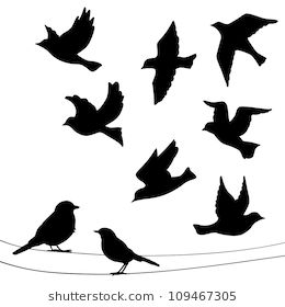 Set of birds silhouettes - flying, sitting. Dandelion Bird Tattoos, Bird Silhouette Tattoos, Flying Bird Silhouette, Tiny Bird Tattoos, Vogel Silhouette, Black Bird Tattoo, Small Bird Tattoo, Dandelion Tattoo, Bird Sketch