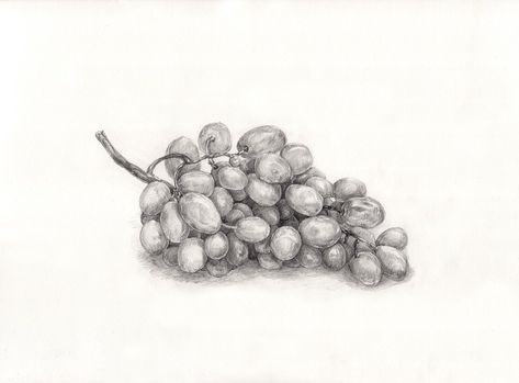 Grape, Painting, Drawing Grapes Drawing Pencil, Grape Sketch, Grapes Sketch, Drawing Grapes, Grapes Drawing, Sv Logo, Grapes Art, Grape Drawing, Grape Painting