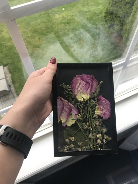 Flower Petal Picture Frame, Dried Flowers In Photo Frame, Picture Frame With Flowers Inside, Dried Flowers Picture Frame, Flowers In Picture Frame, Dried Flower Picture Frame, Framed Dried Flowers, Dried Flower Petals, Pressing Flowers