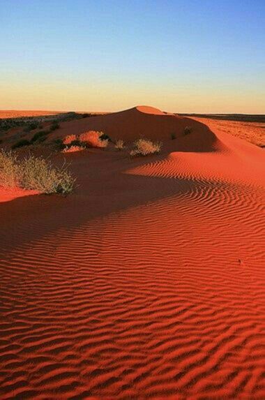 For more inspiration follow us on instagram @artofdestinations or click on photo to visit our instagram page! Western Australia Travel, Australian Desert, Australia Landscape, Deserts Of The World, Red Sand, Desert Travel, Australian Outback, Australian Travel, Outback Australia