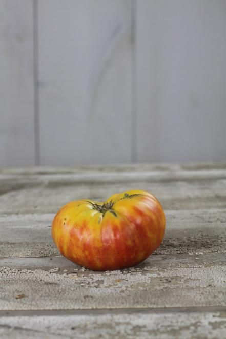 Hillbilly Hillbilly Tomato, Heirloom Tomatoes Varieties, Tomato Varieties, Yellow Tomatoes, Hgtv Garden, Heirloom Tomato, Growing Seeds, Heirloom Tomatoes, Green Thumb