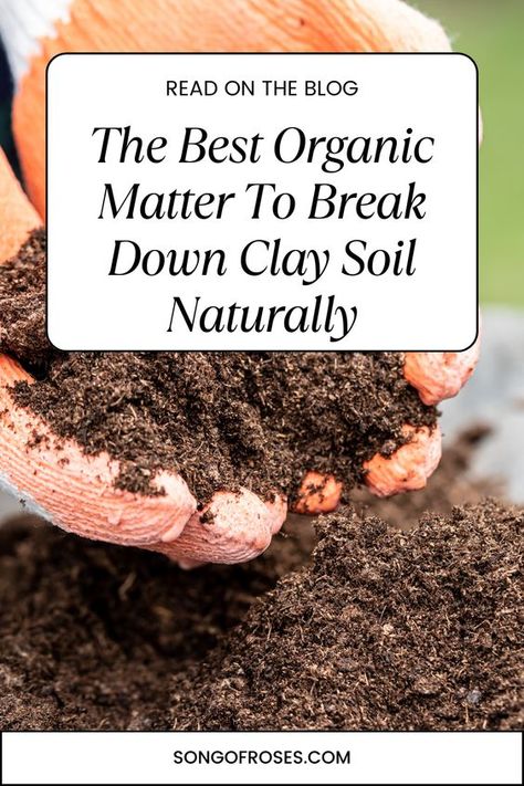 Discover the best organic matter to break down clay soil effortlessly. Transform your garden into a thriving haven with this essential guide. 🏡🌱 #ClaySoilFix #OrganicGardening #GreenThumbs Garden Soil Improvement, Amending Clay Soil, Garden Prepping, Natural Farming, Organic Mulch, Organic Soil, Soil Health, Clay Soil, Food Forest