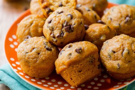 Pumpkin Chocolate Chip Muffin Recipe, Mini Pumpkin Muffins, Mini Muffin Recipe, Baked Oatmeal Cups, Pumpkin Coffee Cakes, Apple Cinnamon Muffins, Pumpkin Chocolate Chip Muffins, Sally's Baking, Filled Muffins