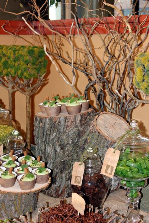 Earth Month 2011  Get Back Down to Earth Party Rooted Theme Party Ideas, Earth Day Party Ideas, Earth Theme Party, Caveman Party, Earth Day Party, Month Inspiration, Eagle Ceremony, Bautizo Ideas, Eagle Scout Ceremony