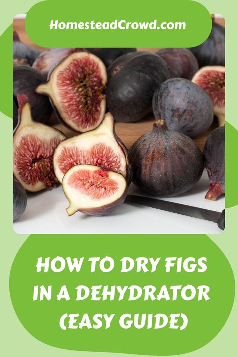 Learn how to maximize your fig harvest by preserving them through drying. Whether you use a dehydrator or oven, the result is delicious figs that will stay fresh for up to 2 years. Follow our straightforward guide to easily dry your figs at home and savor their sweetness all year long! Dehydrate Figs, Dried Bay Leaves, Chicken Eating, Fig Recipes, Dried Figs, Fresh Figs, Dehydrated Food, Did You Eat, Fig Leaves