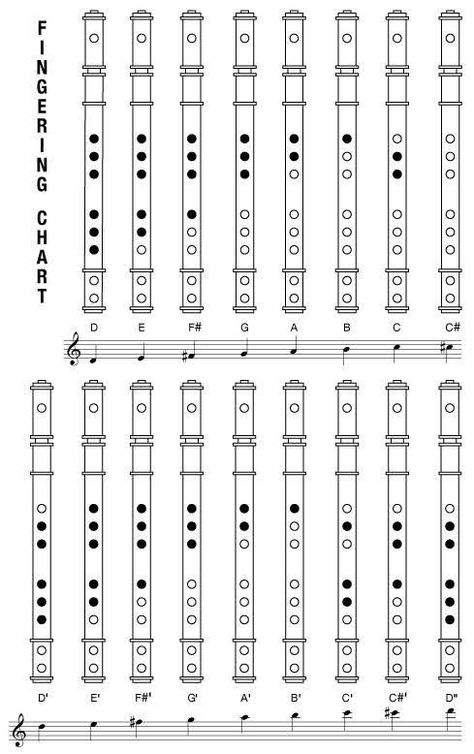 Irish Flute Sheet Music, Flute Fingering Chart, Recorder Fingering Chart, Wood Flute, Recorder Notes, Penny Whistle, Native American Flute Music, Irish Flute, Flute Lessons