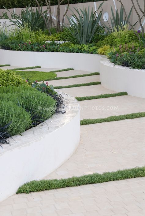 Garden Path with raised white wall beds and thymes in crevices in modern upscale garden with herbs, perennials, ornamental grasses, for classy effect in landscaping Zero Landscape, Bohemian Life, Sloped Garden, Deco Nature, Flower Stock, Garden Entrance, Fun House, Garden Steps, Garden Makeover