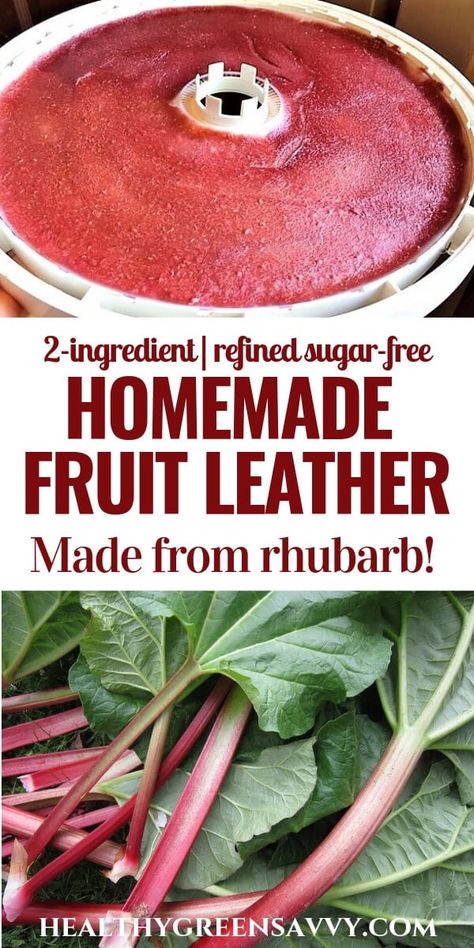 Healthy Rhubarb Recipes, Homemade Fruit Leather, Fruit Leather Recipe, Seasonal Eating, Fruit Leather, Rhubarb Recipes, Growing Tips, Dehydrated Food, Dehydrator Recipes