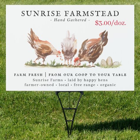 Farm Fresh Eggs For Sale, Eggs For Sale Sign, Fresh Eggs For Sale, Farmhouse Eggs, Sunrise Farm, Farming Tips, Eggs For Sale, Egg Stand, Sale Sign