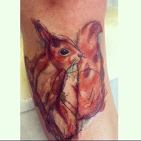 Red Squirrel Tattoo, Squirrel Tattoo Ideas, Squirrel Tattoo, Red Squirrel, Color Ink, Tattoos Ideas, Body Art, Tattoo Ideas, Tattoos