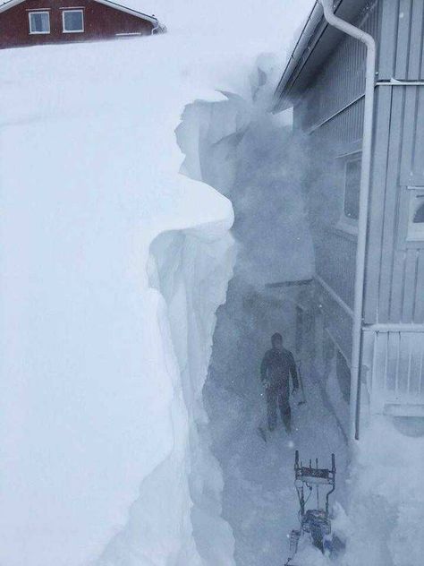 49 Awesome Pics that Want Your Clicks - Funny Gallery Snow Storms, Northern Sweden, Sneak Attack, Hot Dog Stand, Epic Fail, Severe Storms, Cedar Trees, Winter Scenery, Winter Storm