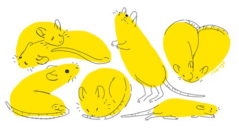 Cute Rat Drawings, Mouse Drawing, A Rat, Cute Rats, Art Poses, Creature Design, Creature Art, Cute Illustration, Animal Illustration