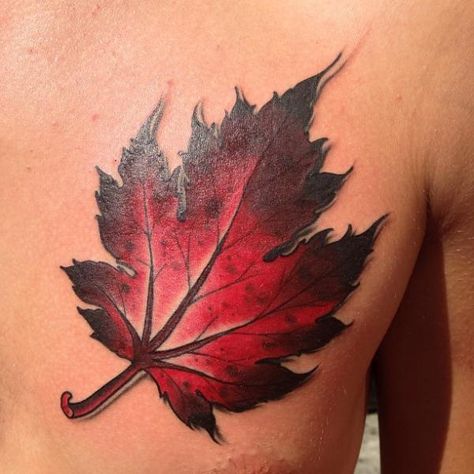 What Is the Meaning of Leaf Tattoos #tattoos #leafs Leaf Tattoo Ideas, Maple Leaf Tattoos, Fall Tattoos, Fall Leaves Tattoo, Canadian Tattoo, Flor Tattoo, Hunting Tattoos, Autumn Tattoo, Leaf Tattoo