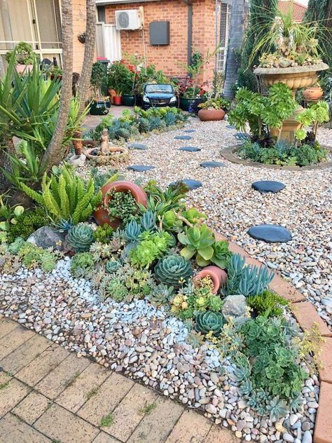 Succulents And Rocks Landscaping, Front Yard Landscaping With Succulents And Rocks, Small Yard Landscaping Low Maintenance, Rockery Border Ideas, Grass And Succulent Garden, Front Yard Rock Garden Landscaping, Succulent And Rock Landscaping, Cacti Rock Garden, Backyard Garden Seating