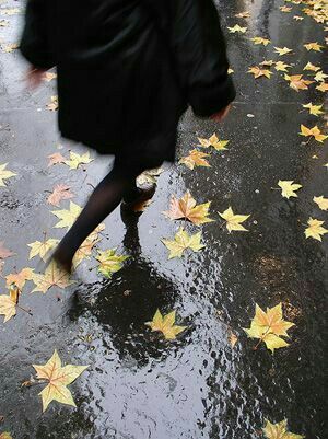 Fall Mood Board, Walking In The Rain, Season Of The Witch, Best Seasons, Academia Aesthetic, We Fall In Love, Autumn Aesthetic, 인물 사진, Samhain