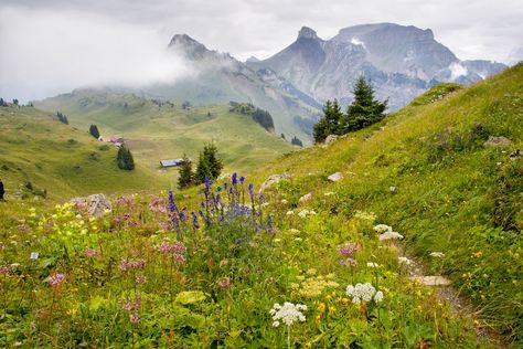 Interlaken Switzerland, Alpine Garden, Interlaken, Switzerland Travel, Beautiful Landscapes, Future House, Travel Ideas, Switzerland, Photo Image