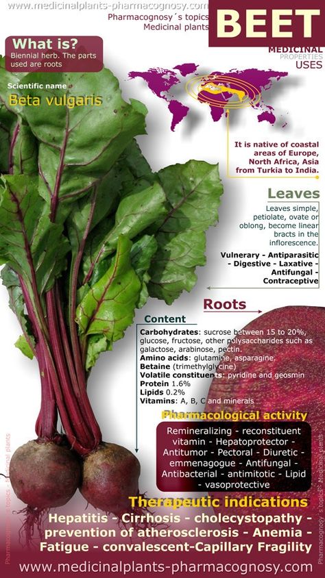 Health Benefits Of Beetroot: It is popularly used in weight loss diet due to the soluble fibers present in it that helps to fight against fat. Beetroot Benefits, Healing Food, Food Facts, Medicinal Plants, Health Remedies, Herbal Remedies, Healthy Tips, Beets, Health And Nutrition