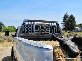 Fishhead Technology: Cowboy Headache Rack Headache Rack Trucks, Truck Accesories, Headache Rack, Western Car, Cool Truck Accessories, Welding Ideas, Country Vibes, Tractor Seats, Metal Tree Wall Art