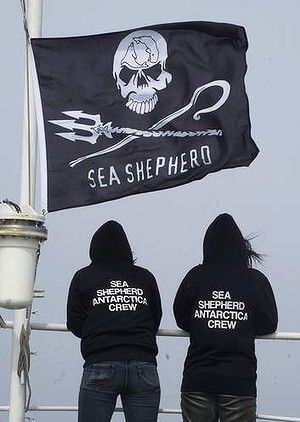 Sea Shepard, San Simon, Sea Shepherd, Save The Whales, Animal Activist, Animal Liberation, Save Our Oceans, Animal Rights Activist, Southern Ocean