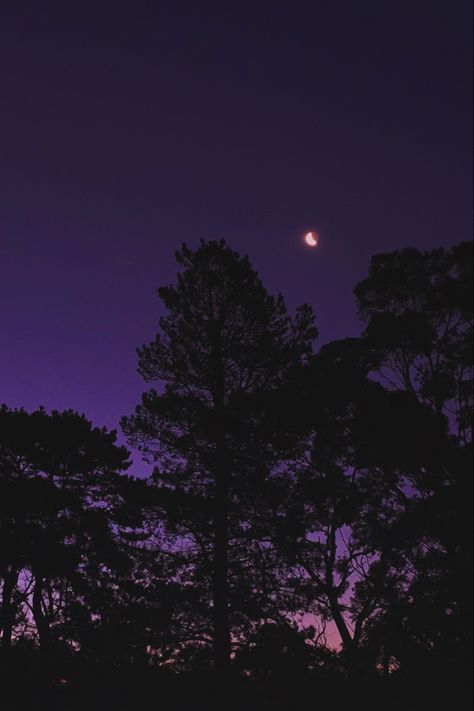 Purple Night, Fall Purple Aesthetic, Purple Night Aesthetic, Warm Purple Aesthetic, Halloween Aesthetic Purple, Spring Night Aesthetic, Midnight Purple Aesthetic, Purple Fall Aesthetic Wallpaper, Purple Moon Aesthetic