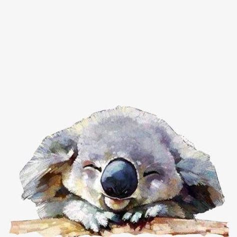 Koala Drawing, Arte Peculiar, Sketching Ideas, Watercolour Inspiration, Watercolor Painting Techniques, 수채화 그림, Color Painting, Watercolour Art, Creative Painting