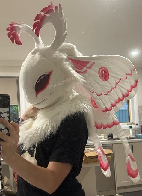 Moth Fursuit, Huge Moth, Pics Of Animals, Funny Cute Animals, Cute Animals Pictures, Funny Halloween Jokes, Fursuit Tutorial, Halloween Jokes, Fursuit Head