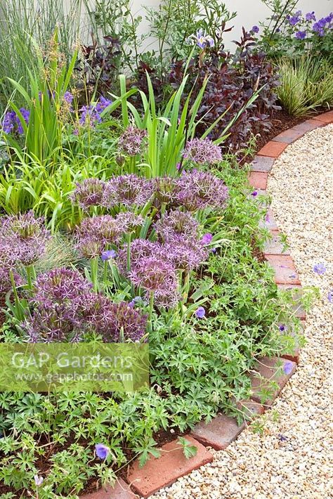 Red Brick Edging, Allium Christophii, Brick Garden Edging, Brick Edging, Brick Garden, Back Garden Design, Cottage Garden Design, Gravel Garden, Lawn Edging