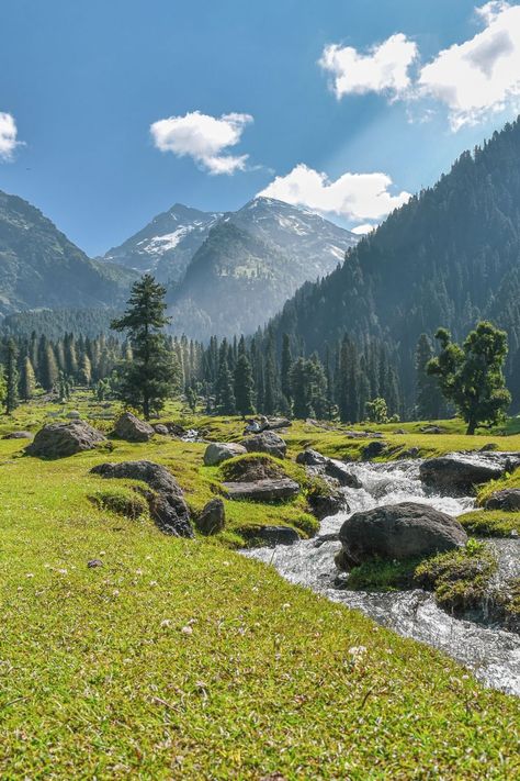 If Landscapes attracts you, then Kashmir Landscape is among the finest you will going to see in India.  You can catch more of these on my Instagram  #landscape #photography #travel #guide #kashmir #aru #valley #pahalgam #india #tourism Aru Valley Pahalgam, Nature Photography Mountains, Jamu Kashmir Photography, Aru Valley Kashmir, Kashmir India Beauty, Pahalgam Kashmir Photography, Kashmir Background, Srinagar Kashmir Photography, Kashmir Photography Ideas