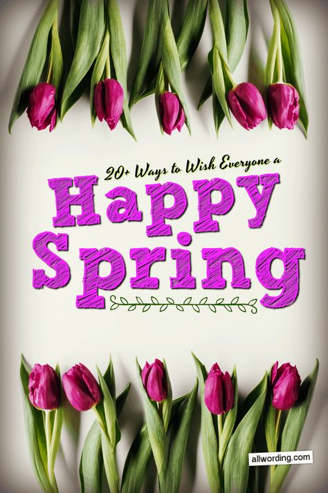 A list of ways to wish everyone a happy first day of spring. Includes spring wishes ranging from sincere and thoughtful, to playful and funny. Spring Day Quotes, Happy Spring Images, Spring Inspirational Quotes, Congratulations Typography, Hello Spring Quotes, Springtime Quotes, Flower Puns, Spring Message, Happy Spring Day