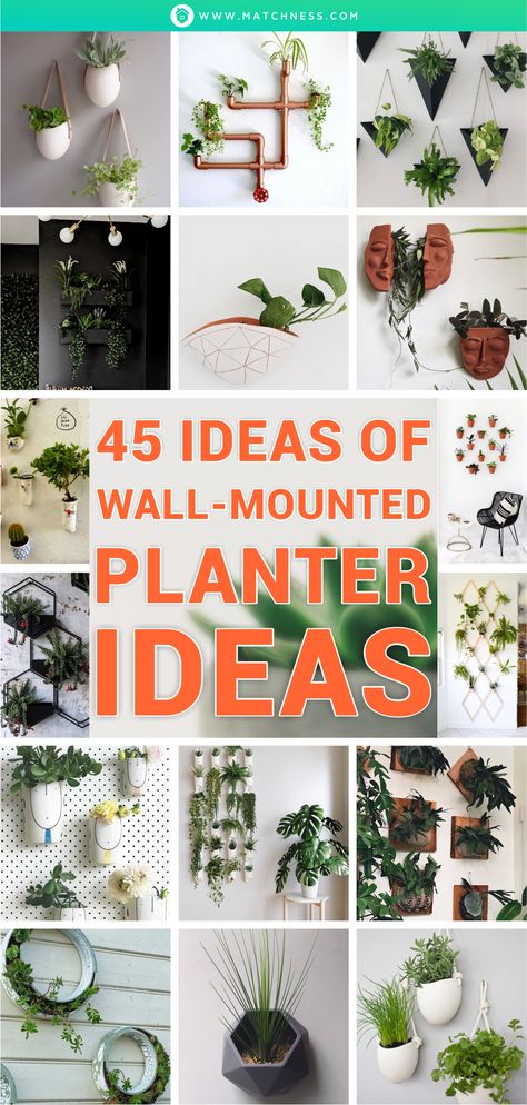 Small Wall Planters Indoor, Vertical Plant Wall Outdoor, Wall Planters Indoor Diy, Small Plants Indoor Decoration, Indoor Plant Wall Ideas, Diy Plant Wall Indoor, Wall Greenery Decor, Indoor Vertical Garden Wall, Living Room Plant Wall