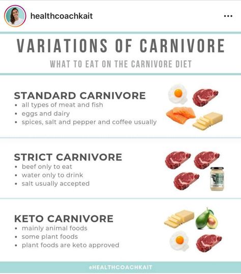 Lion Diet, Guilt Free Desserts, Zero Carb Diet, Anti Vegan, Caveman Diet, Nutrition Chart, Meat Diet, Nutrition Science, Carnivore Diet