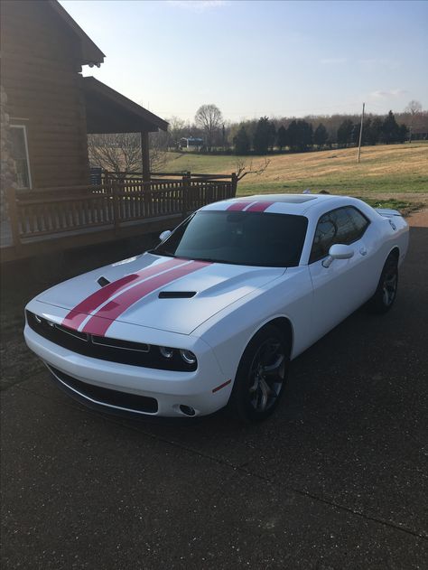 My 2017 Dodge Challenger pink rally stripes Black And Pink Dodge Challenger, Pink Dodge Challenger, Rally Stripes, Dodge Challenger Hellcat, Dream Vehicles, Dodge Muscle Cars, Hellcat Challenger, Challenger Srt, Dodge Challenger Srt