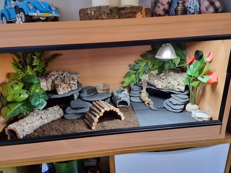 Lepord Gecko Cages, Leapord Gecko Habitat Ideas Diy, Cool Reptile Enclosures, Leaped Gecko Tank Set Up, Diy Lizard Terrarium, Leopard Gecko Tank Setup Ideas, Leopard Gecko Vivarium Ideas, Lepord Gecko Enclosure Ideas, Lizard Cage Ideas