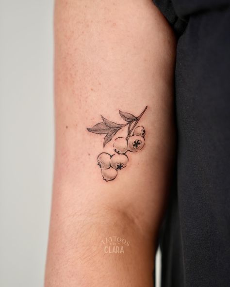 Maine Blueberry Tattoo, Wild Blueberry Tattoo, Blueberry Plant Tattoo, Blueberry Vine Tattoo, Blueberry Tattoo, Blueberry Plant, Patchwork Sleeve, Vine Tattoos, Blueberry Bushes