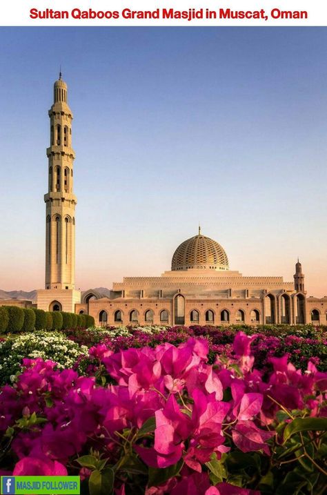 Sultan Qaboos masjid in Oman Beautiful Masjid, Sultan Qaboos Grand Mosque, Beautiful Mosque, Sultan Qaboos, Oman Travel, Sultanate Of Oman, Muscat Oman, Mosque Architecture, Beautiful Mosques