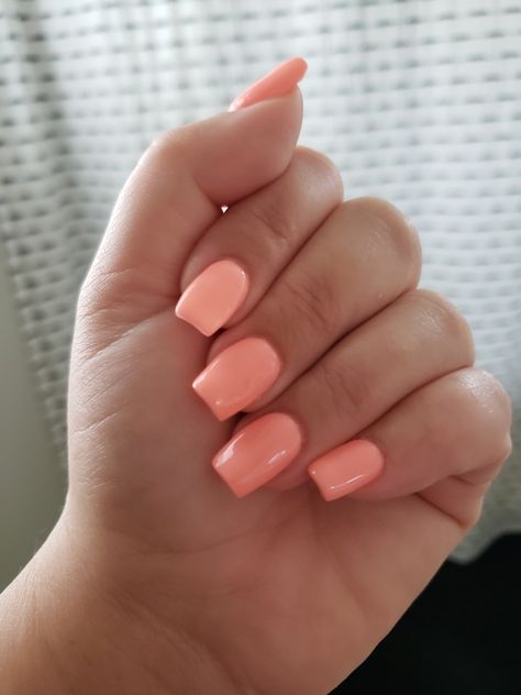 Gspa #254 Salmon Pink Nails, Salmon Nails, Tropical Vacation Nails, Light Pink Nails, Vacation Nails, Nails Pink, Girls Nails, Wall Lighting, Salmon Pink