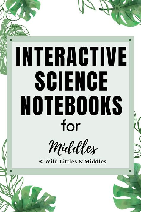 How To Decorate Science Notebook, Science Notebook Design, Setting Up Science Notebook, 3rd Grade Science Notebook, Interactive Science Notebook Design, Middle School Science Notebook, Interactive Science Notebook Cover, Elementary Science Notebook, Homeschool Goals