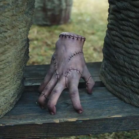 The Thing Hand Addams, Thing The Addams Family, The Hand From Adams Family, Thing Adam Family, Thing Wendsday, The Thing Addams Family, Thing From Addams Family, Hear Me Out Cake Ideas, Thing Wednesday Hand