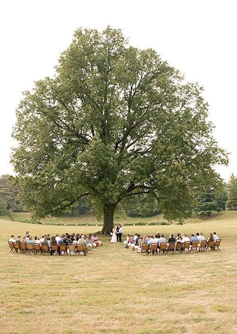 Wedding Under Trees, Fall Farm Wedding, Tree Wedding Ceremony, Farm Wedding Ceremony, Fall Farm, Field Wedding, Under A Tree, Dream Venue, Future Wedding Plans