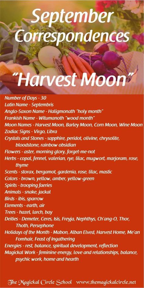 Monthly Correspondences, Full Moon Names, Corn Moon, Moon Zodiac, Moon Meaning, Moon Names, Moon Spells, Moon Magick, Moon Journal