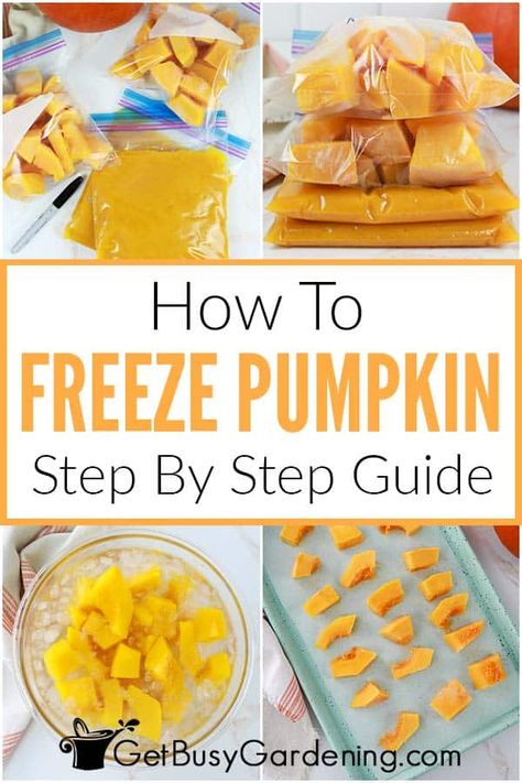 Trying to find a solution to this year’s pumpkin abundance? Freeze them! Cube, slice, or puree your pumpkin and store it in the freezer to enjoy nutritious and delicious fresh pumpkin all season long. You will learn what you will need to do this and the best methods as well. If you have been looking for how to preserve pumpkin this article is for you! Preserve Pumpkin, Can You Freeze Pumpkin, Freeze Pumpkin, Freezing Pumpkin, Cooking Healthy Dinner, Preserving Pumpkins, Drying Fresh Herbs, Frozen Pumpkin, Cooking Pumpkin