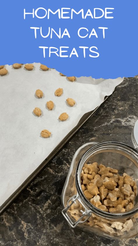 Homemade Tuna Cat Treats Homemade Cat Treats, Tuna Bites, Homemade Cat Treats Recipes, Tuna Cat Treats, Kitten Training, Pallet Deck Diy, Tuna Can, Homemade Cat Food, Cat Ideas