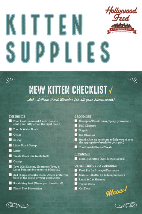 Kitten Organization Ideas, Things You Need For A Kitten, Bringing A Kitten Home, Raising A Kitten Tips, How To Raise A Kitten, Kitten Supplies List, Bringing Home A New Kitten, Kitten Essentials List, New Kitten Essentials