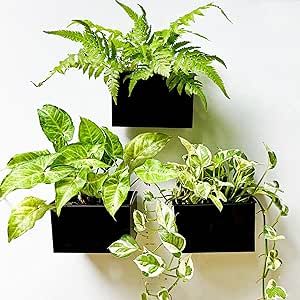 LaLaGreen Wall Planter - 3 Pack, 6 Inch Wall Mount Planters for Succulents Black, Rectangular Hanging Metal Flower Pot, Long Window Boxes Fence Air Plants Holders Floating Garden Shelf for Deck Indoor Gardening Vertical, Wall Plants Indoor, Planters For Succulents, Garden Shelf, Hanging Planter Boxes, Metal Wall Planters, Indoor Plant Wall, Wall Mounted Planters, Vertical Wall Planters