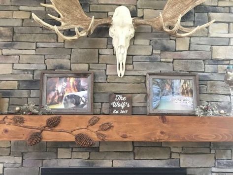 MSET5 Moose Mount, European Mount Ideas, Horn Designs, Alaskan Moose, European Mount, Animal Taxidermy, Antlers Decor, Mounted Fireplace, Moose Antlers