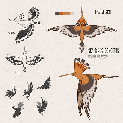 Animal Character Design, Hoopoe Bird, Jesus Take The Wheel, Face Tutorial, Procreate Ipad Tutorials, Native Tattoos, Draw Faces, Draw Anything, Procreate Ipad Art