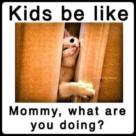 Can't go the the bathroom in peace Friday Mood, Funny Quotes For Kids, Mommy Quotes, Motherhood Funny, Bad Mom, Mom Memes, Funny Mom Quotes, Door Open, Mom Jokes