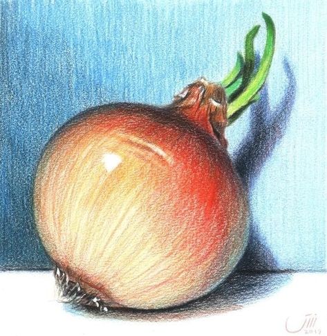 Vegetable Drawing, Colored Pencil Art Projects, Acrylic Drawing, Color Pencil Sketch, Blue Drawings, Coloring Techniques, Drawing Lesson, Colored Pencil Artwork, Pencil Shading