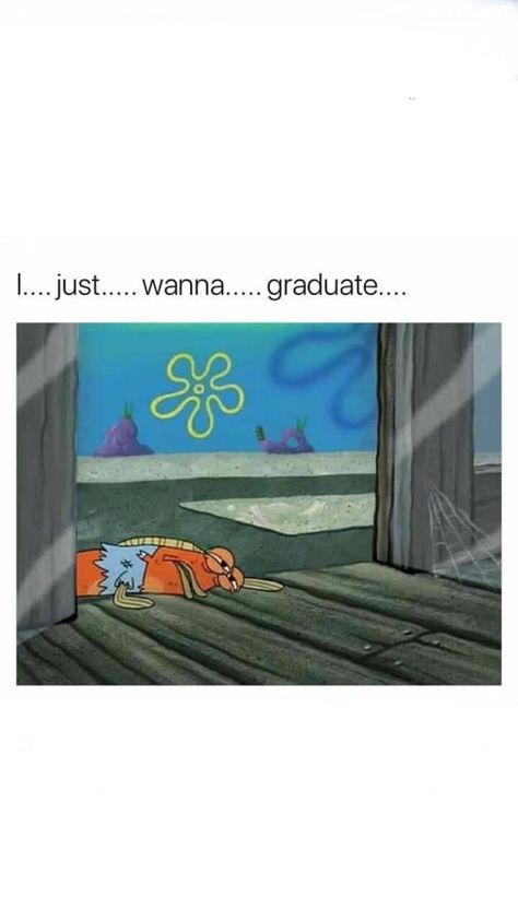 Graduation Meme, School Diploma, High School Diploma, Cute Jokes, Jokes Pics, School Memes, Class Of 2020, Mood Humor, Funny Reaction Pictures